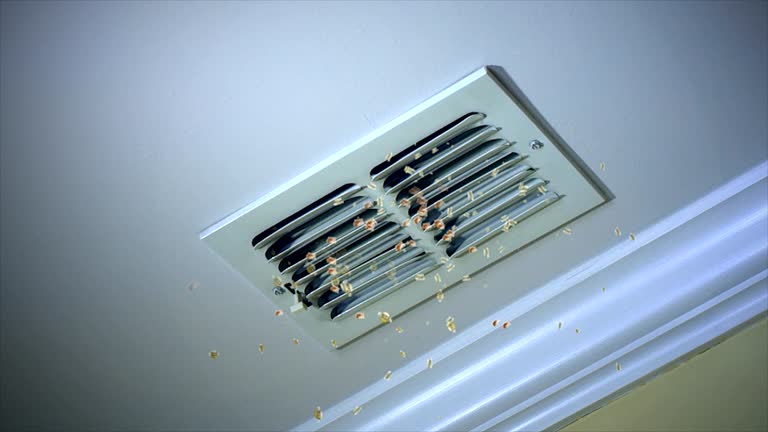 Best HVAC System Cleaning  in Fort Bliss, TX