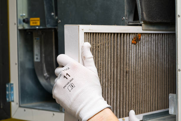Best Professional Duct Cleaning Services  in Fort Bliss, TX